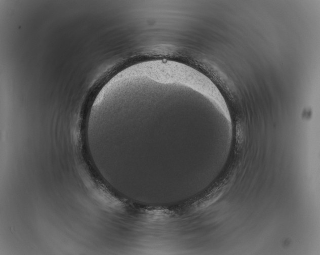 X0000093740396200711061029