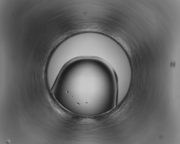 X0000093740397200711061029