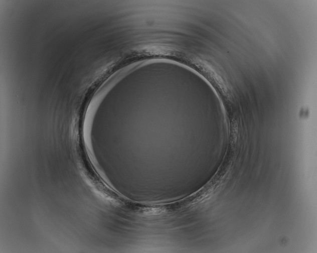 X0000093740398200711061029