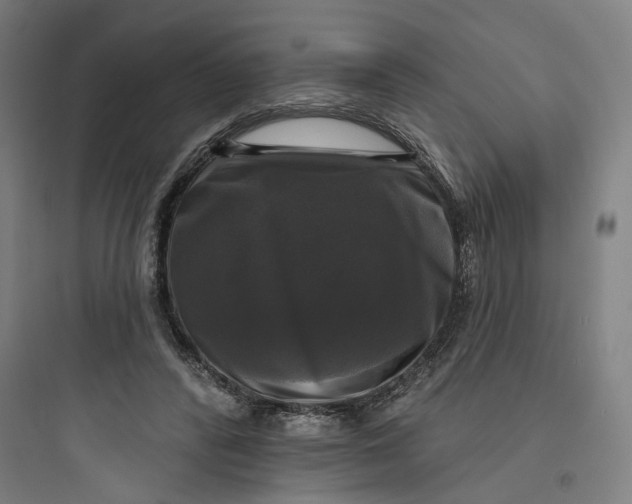 X0000093740400200711061029