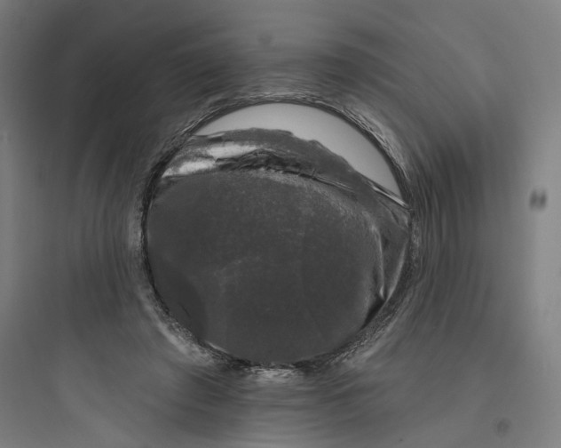 X0000093740401200711061029