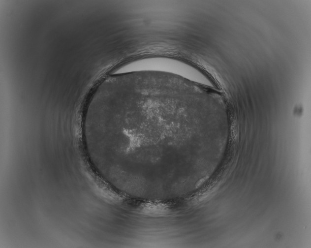 X0000093740403200711061029