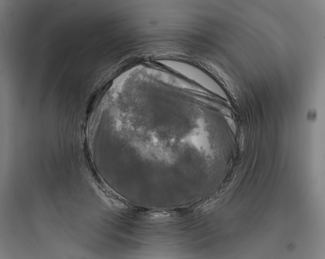 X0000093740405200711061029