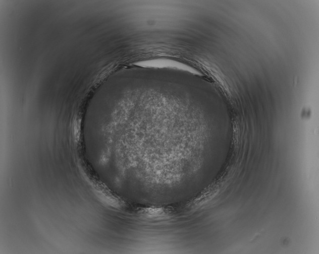 X0000093740406200711061029