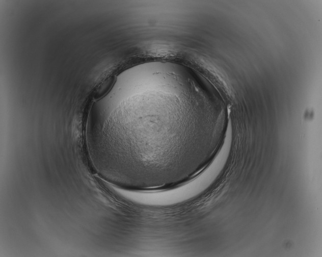 X0000093740407200711061029