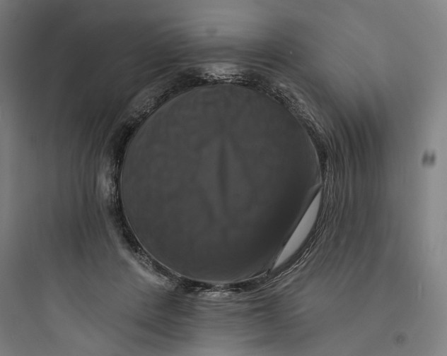 X0000093740408200711061029