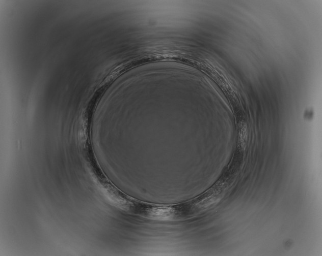 X0000093740410200711061029