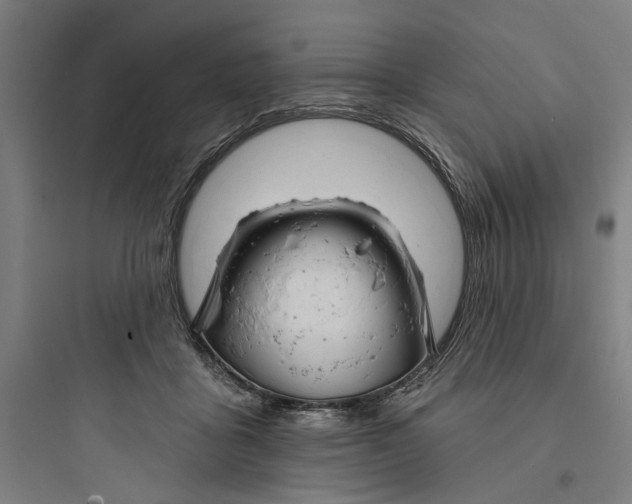 X0000093740411200711061029