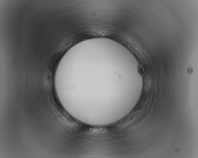 X0000093740414200711061028