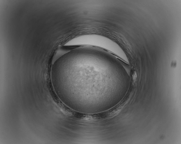 X0000093740416200711061028