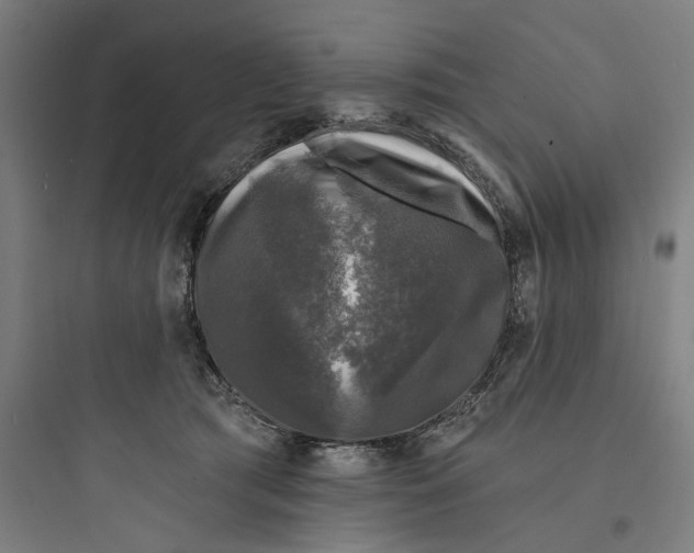 X0000093740417200711061028