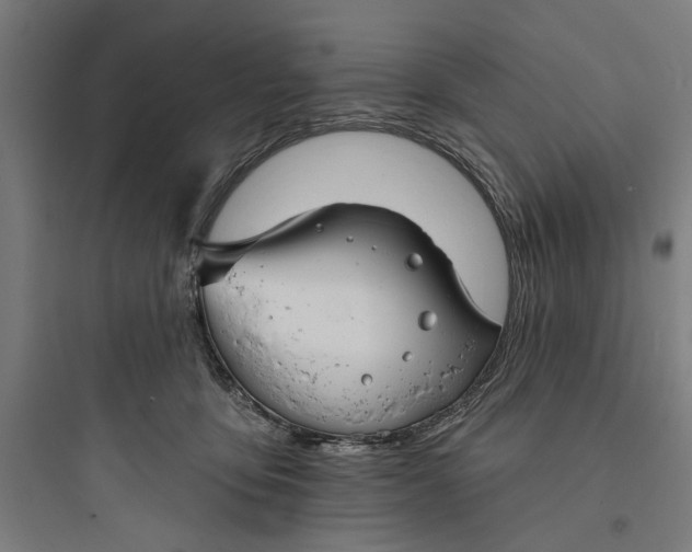 X0000093740419200711061028