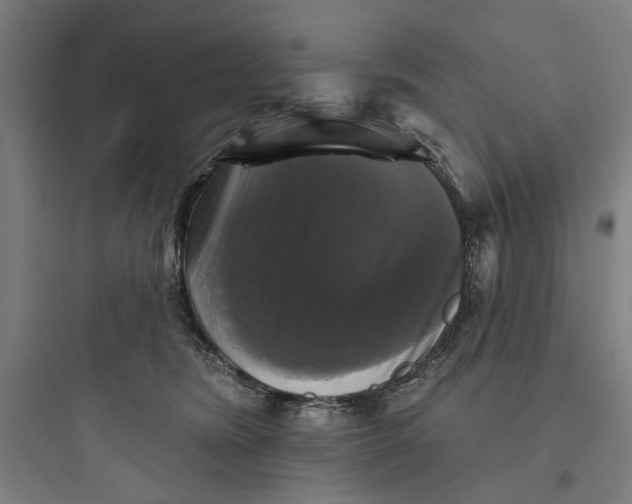 X0000093740420200711061028