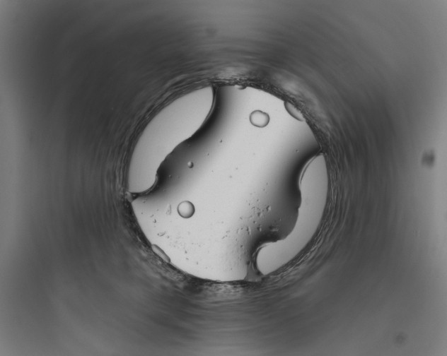 X0000093740421200711061028