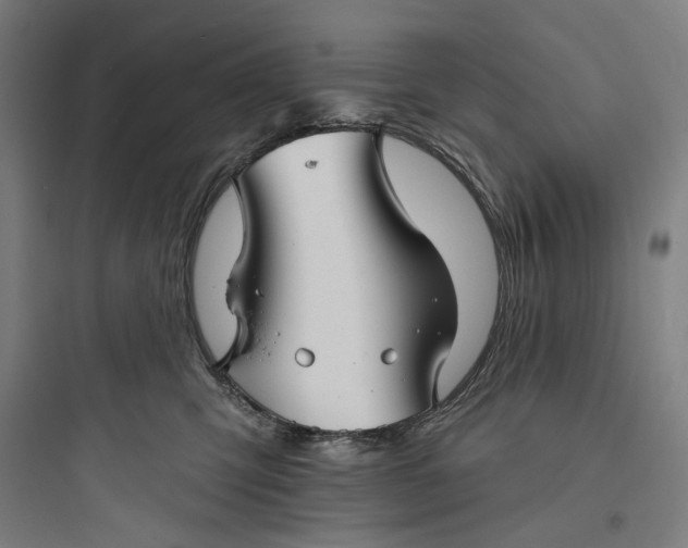 X0000093740423200711061028