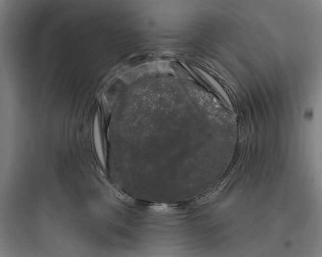 X0000093740425200711061028