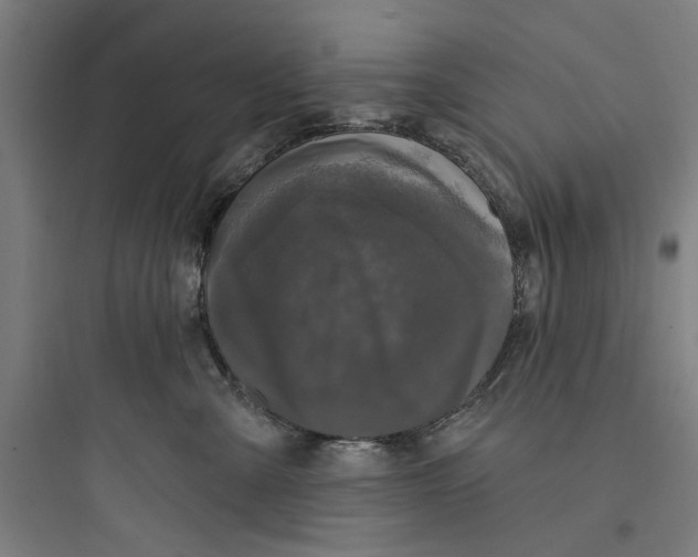 X0000093740427200711061028