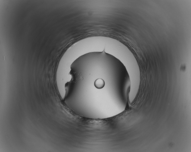 X0000093740428200711061028