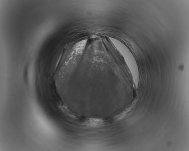 X0000093740429200711061028