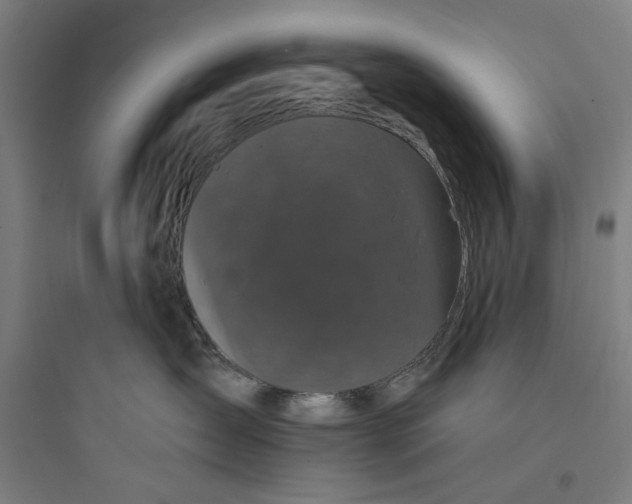 X0000093740431200711061028