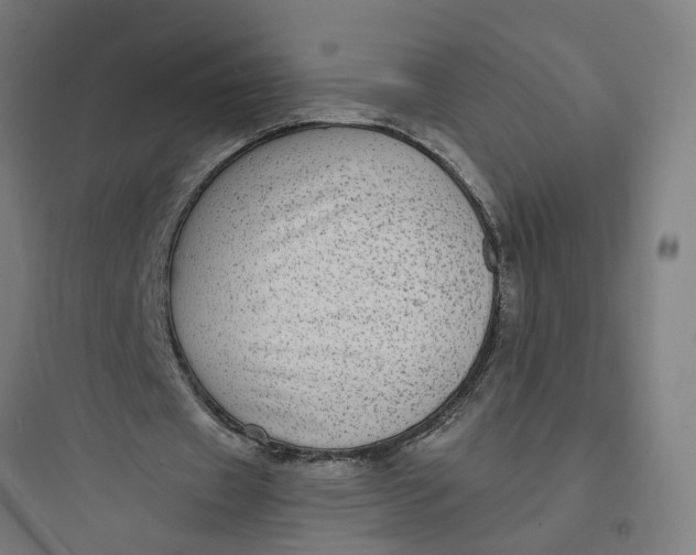 X0000093740433200711061028