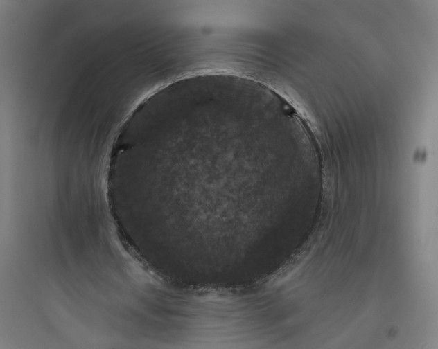 X0000093740434200711061028