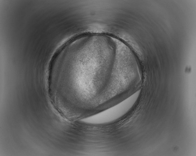 X0000093740440200711061028