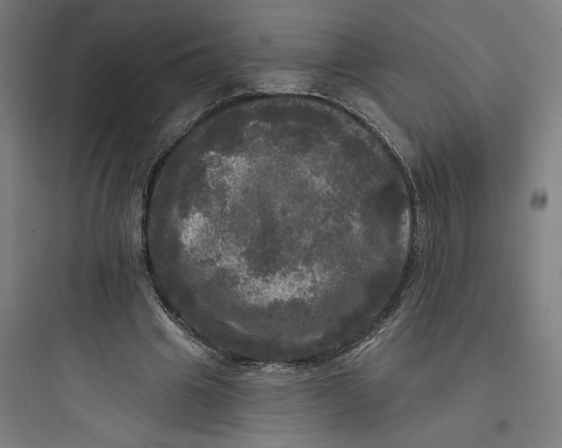 X0000093740441200711061028