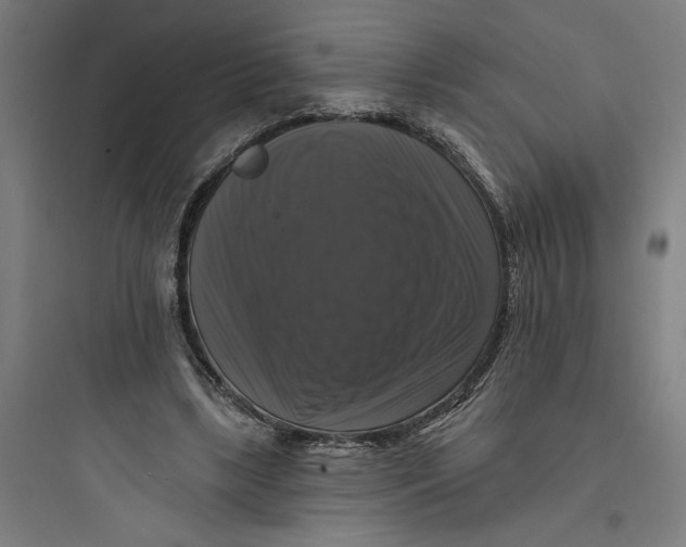 X0000093740443200711061028