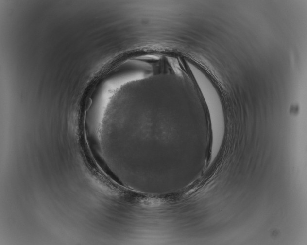 X0000093740444200711061028