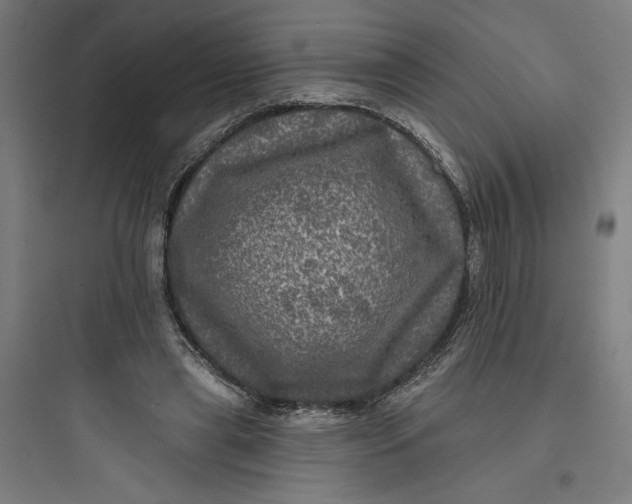 X0000093740445200711061028