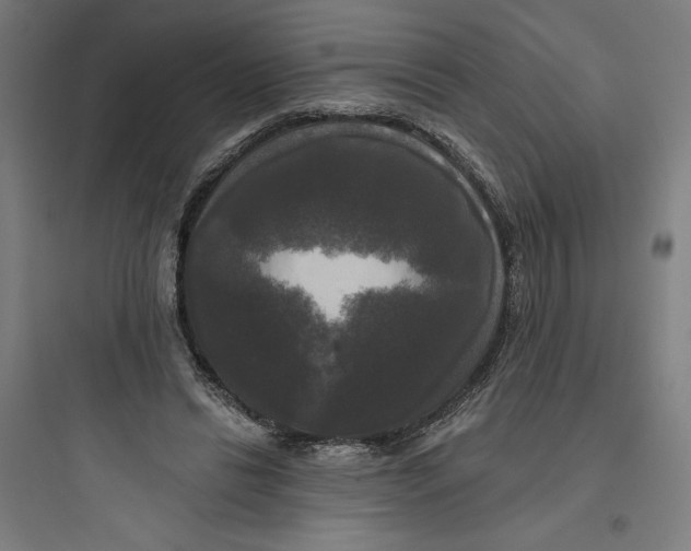 X0000093740446200711061028