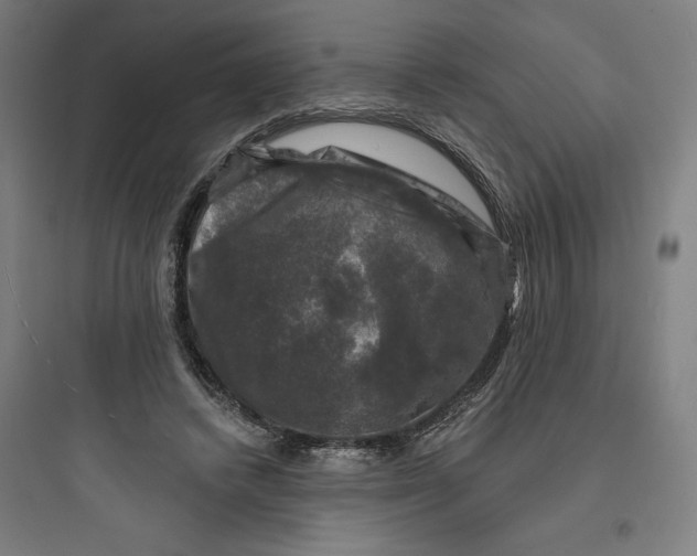 X0000093740448200711061028