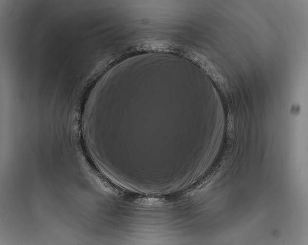 X0000093740449200711061028