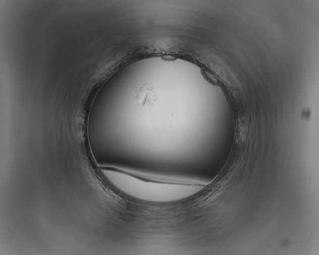 X0000093740450200711061028