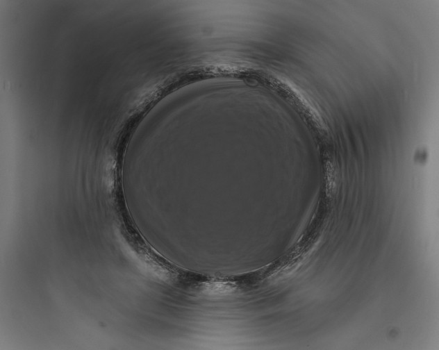 X0000093740451200711061028