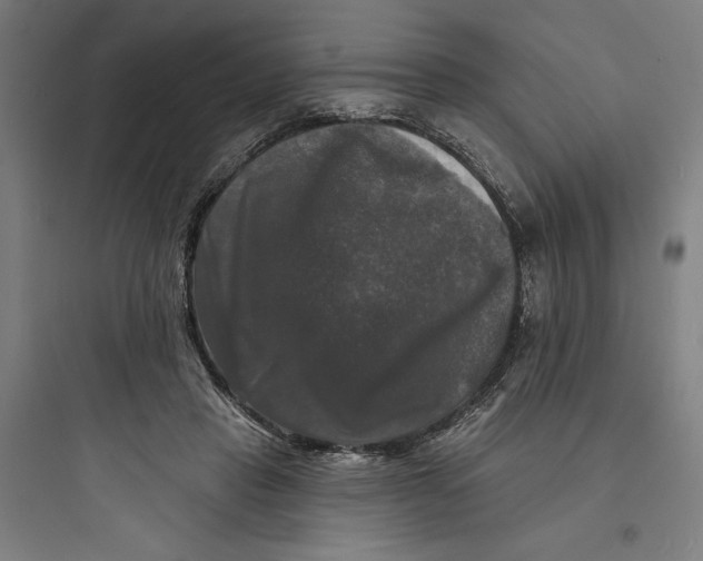 X0000093740453200711061028