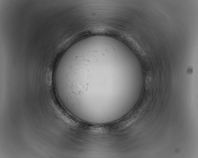 X0000093740454200711061028