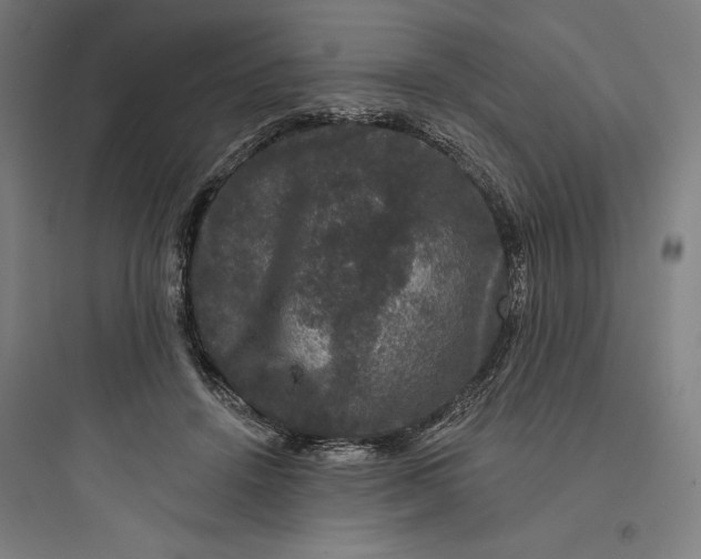 X0000093740456200711061028