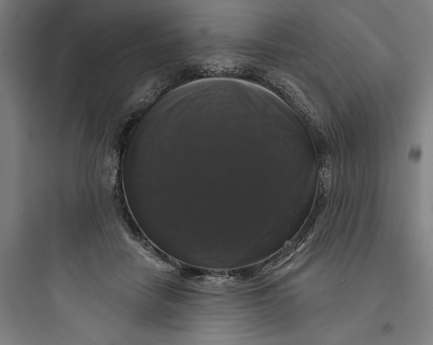 X0000093740458200711061028