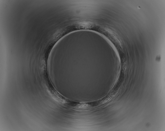 X0000093740459200711061028