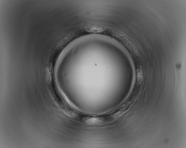 X0000093740460200711061028