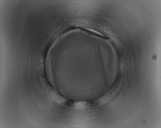 X0000093740461200711061028