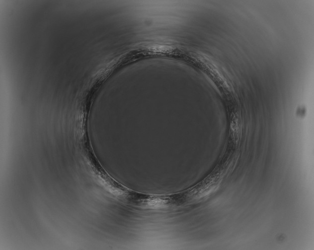 X0000093740462200711061028