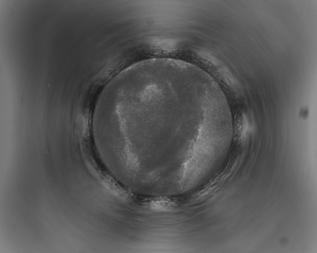 X0000093740468200711061028