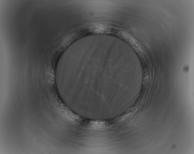 X0000093740469200711061028