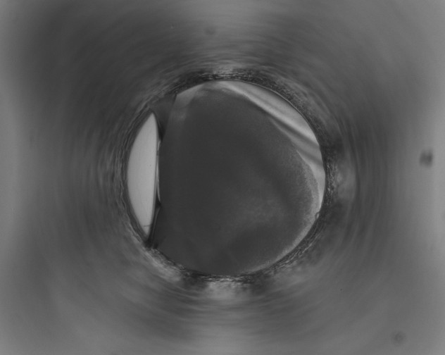 X0000093740470200711061028