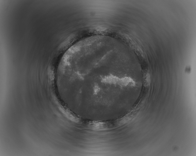 X0000093740472200711061028