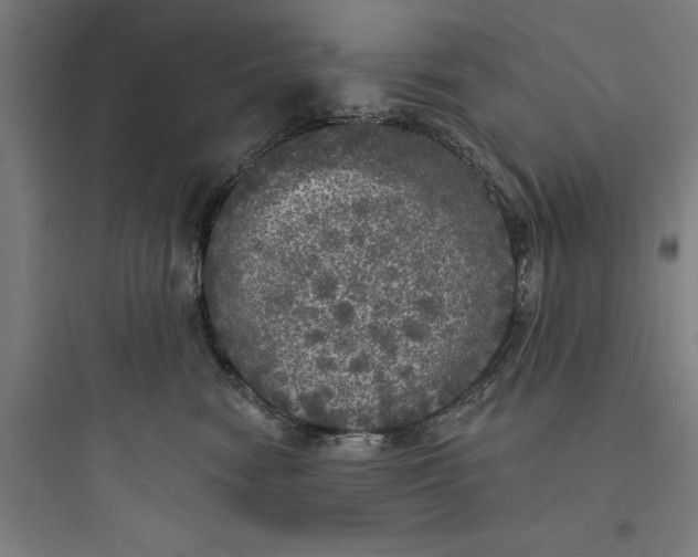 X0000093740474200711061028