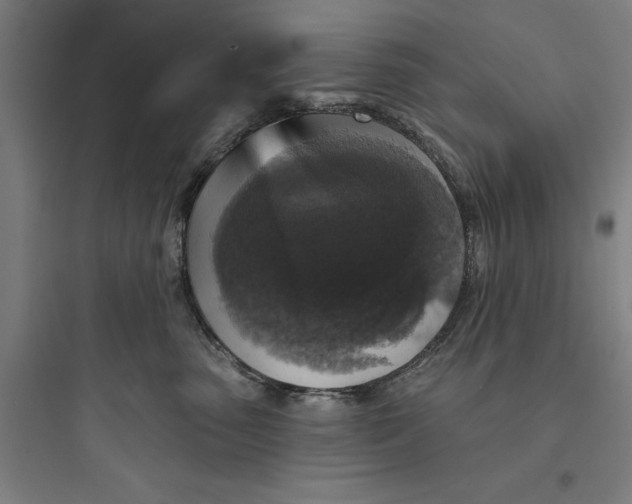 X0000093740475200711061028